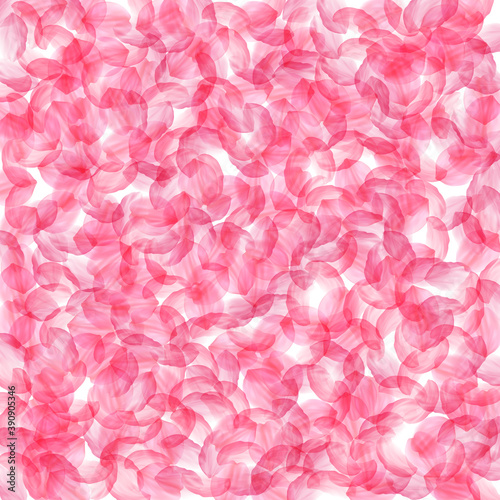 Sakura petals falling down. Romantic pink silky bi