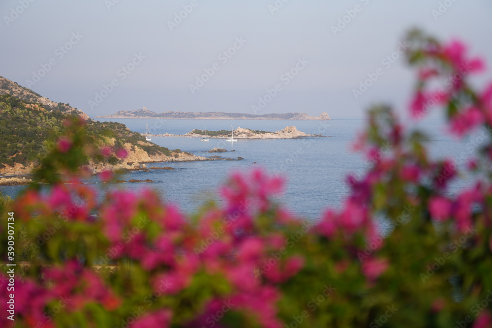 Obraz premium vue mer avec fleurs