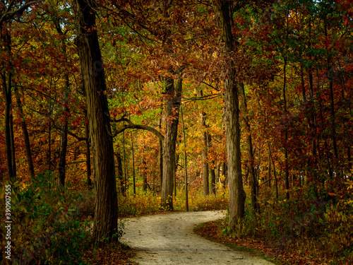 autumn in the park