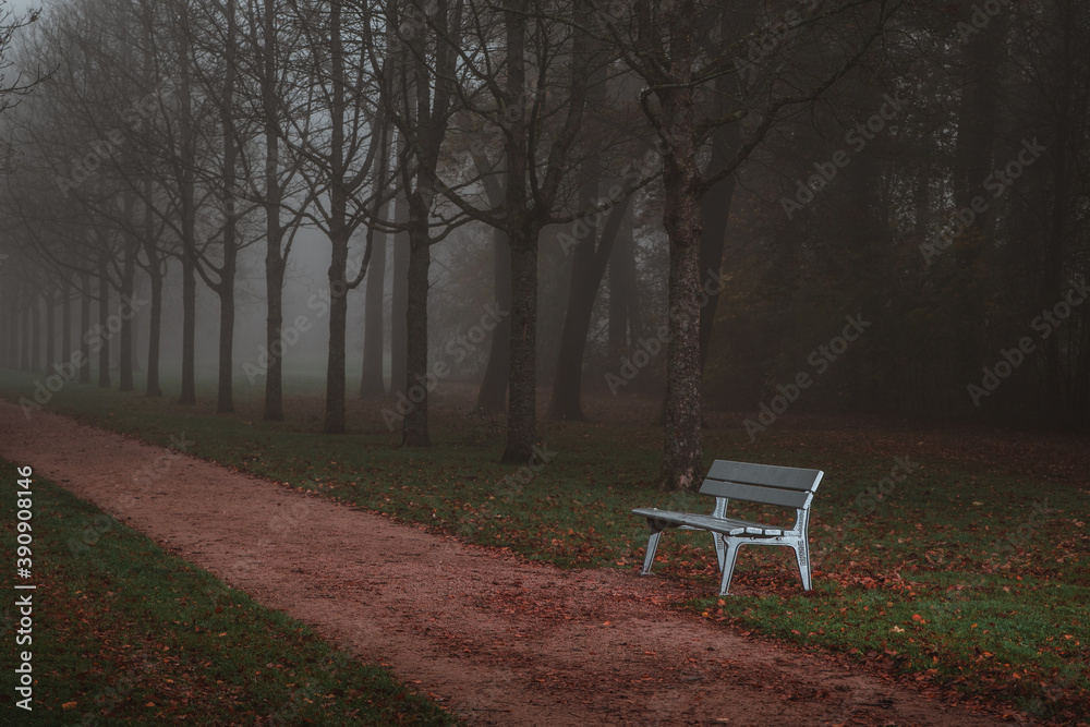 bench in the park