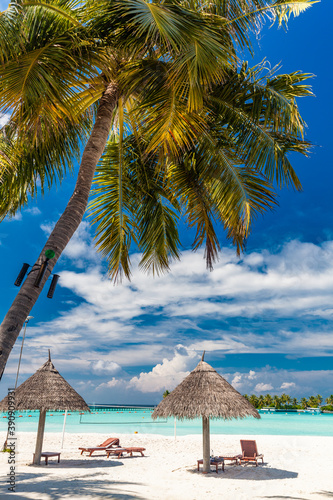 Fototapeta Naklejka Na Ścianę i Meble -  Tropical beach in Maldives with palm trees and vibrant lagoon