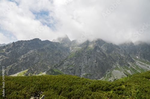 One of the peaks of the High Tatra mountains in Slovakia surrounded by forested mountains and trees in the foreground