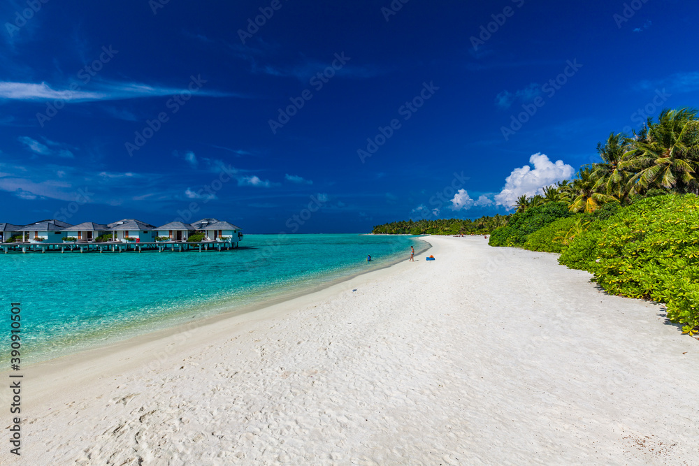 Fototapeta premium White sandy beach in Maldives with amazing blue lagoon