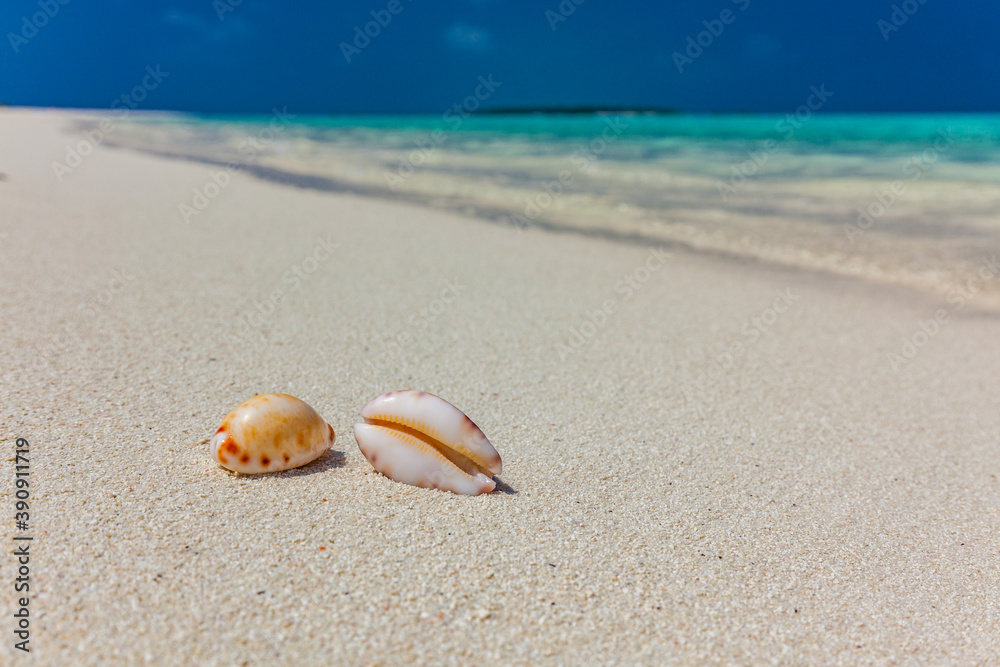 White sandy beach in Maldives with amazing blue lagoon White sandy beach in Maldives with amazing blue lagoon