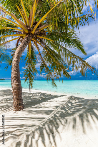 Tropical beach in Maldives with palm trees and vibrant lagoon © Martin Valigursky