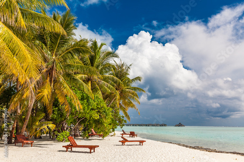 Tropical beach in Maldives with palm trees and vibrant lagoon