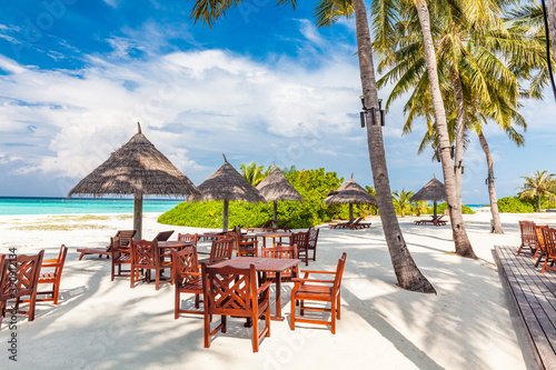 Tropical beach in Maldives with palm trees and vibrant lagoon