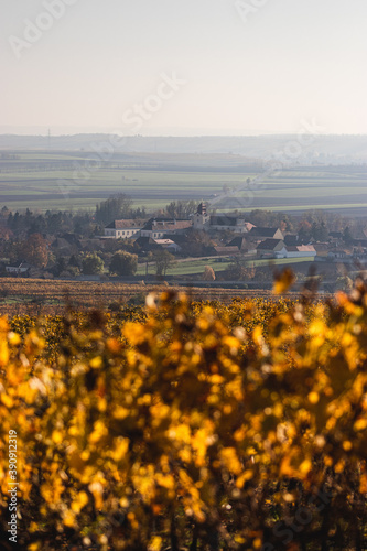 Unternalb im Weinviertel mit herbstlichem Weingarten im Vordergrund