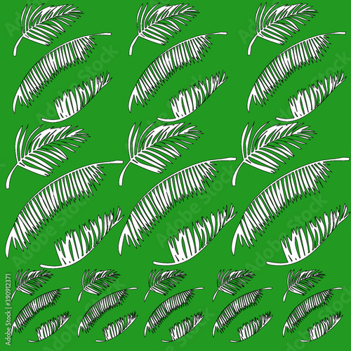NATURE TEXTURE