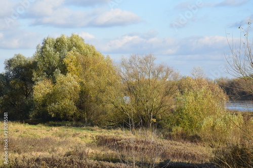 Fototapeta Naklejka Na Ścianę i Meble -  Jesień nad Wisłą w okolicy Sandomierza