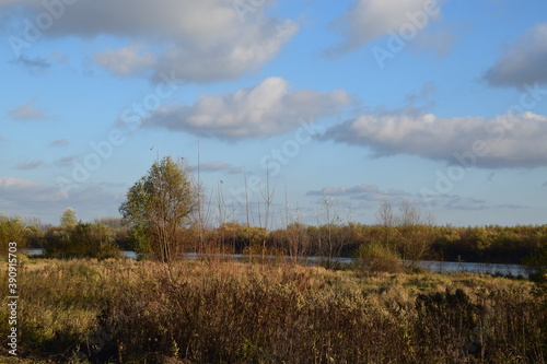 Fototapeta Naklejka Na Ścianę i Meble -  Jesień nad Wisłą w okolicy Sandomierza