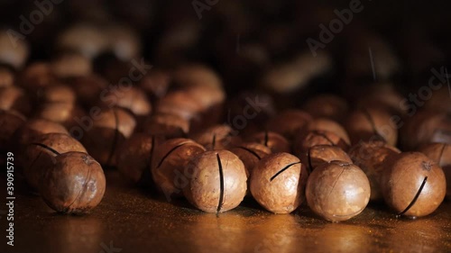 Australian walnut close-up. Macadamia nuts roll over to other orchids in a dark room against a dark background. Water drops fall on the nuts. Large brown macadamia nuts are on the table. photo