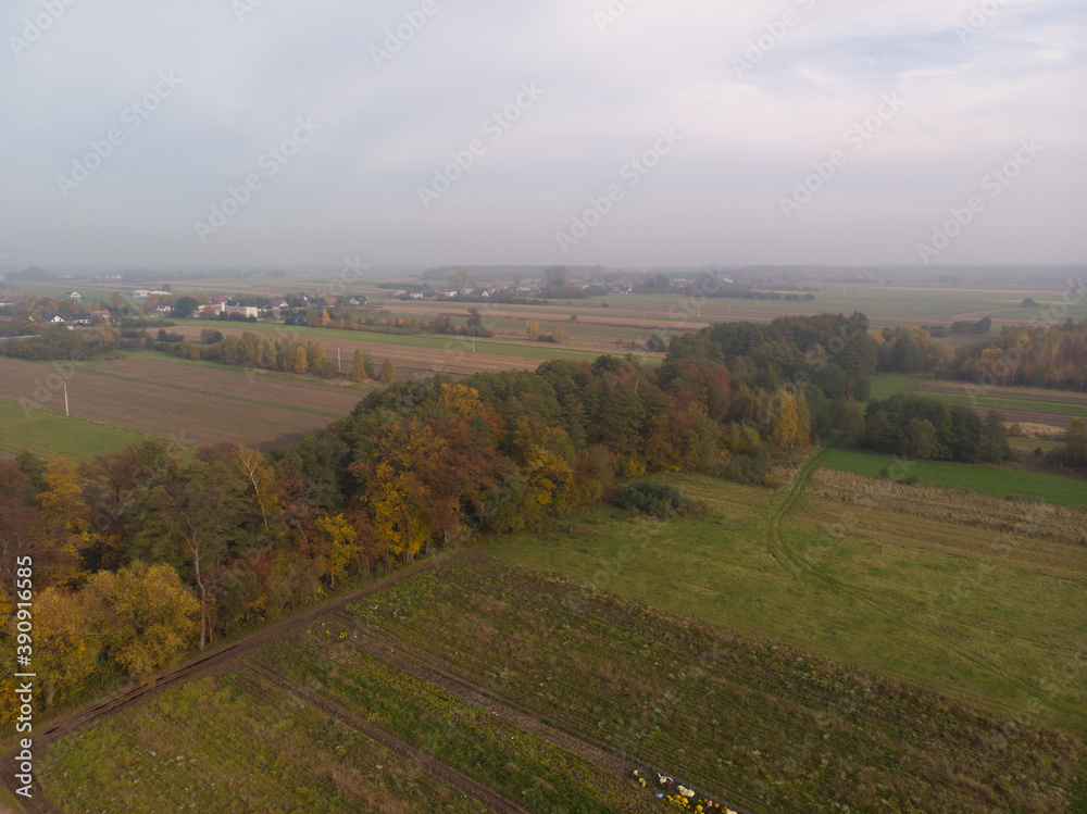 Jesienny krajobraz Mazowsza/Autumn landscape of Mazovia, Poland
