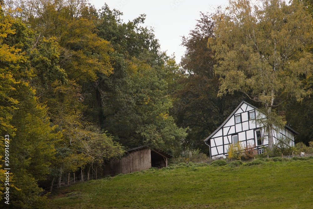 Haus mit kleiner Hütte im Wald Haus mit kleiner Hütte im Wald