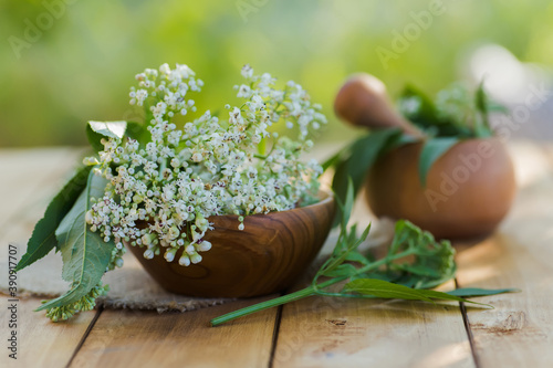 Buquet Valerian on wooden plate. Collecting medicinal herbs during flowering. White fresh valerian flowers in alternative medicine as a sedative and tranquilizer.