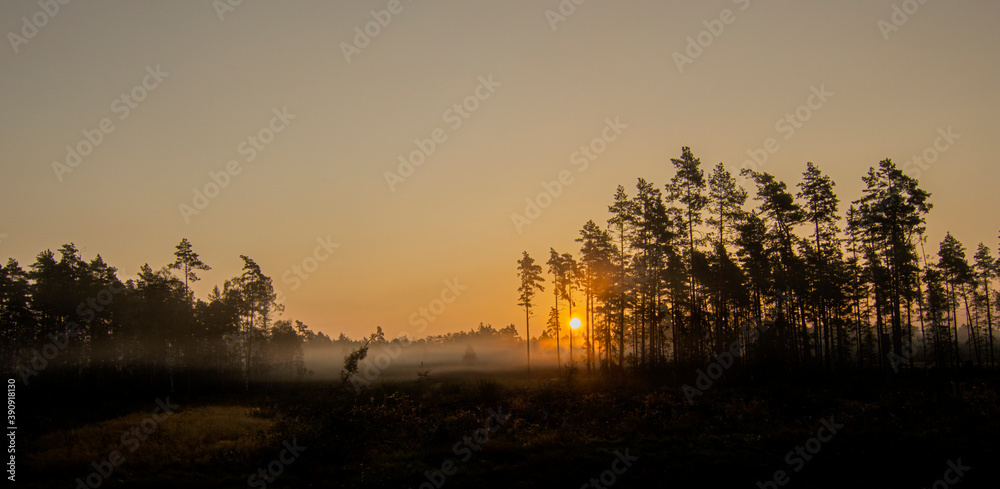 Fototapeta premium Autumn sunset with fog