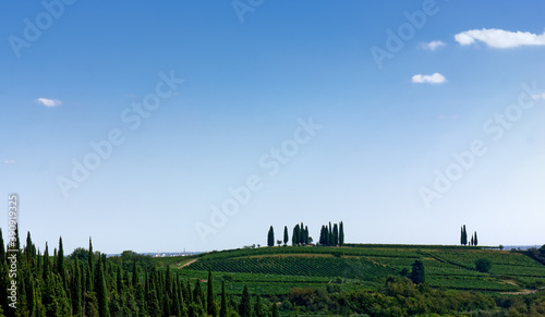 Typical Italian hilly landscape with the blue sky usable as copy space
