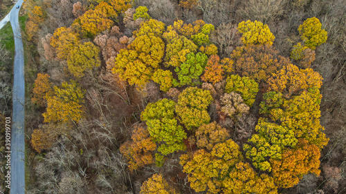 Random Fall Foliage Beautiful Images - aerial