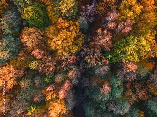 Aerial view of beautiful autumn forest. Beautiful landscape with trees with green, red and orange leaves. Top view