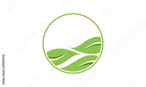 Green leaf illustration symbol vector