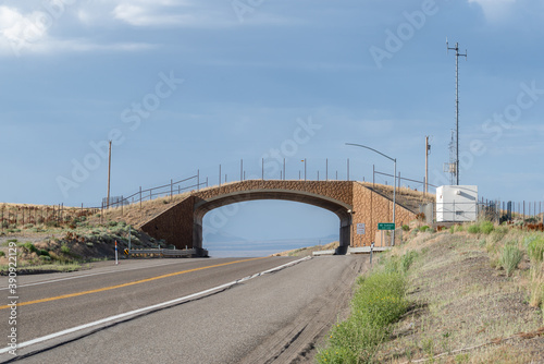 A wildlife crossing overpass along Highway 93 in Elko County, NV allows pronghorn antelope to safely cross the bridge over the road on a grassy strip preventing car accidents. photo