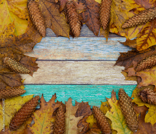 Szyszki i liście na tle