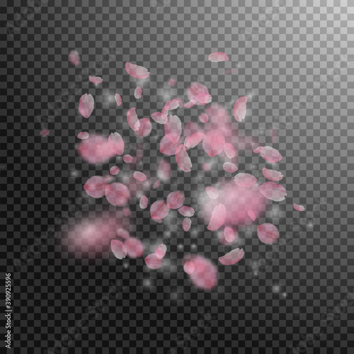 Sakura petals falling down. Romantic pink flowers 