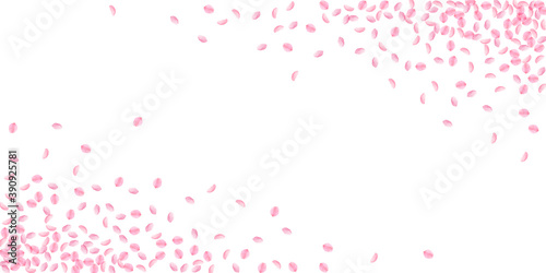 Sakura petals falling down. Romantic pink silky sm
