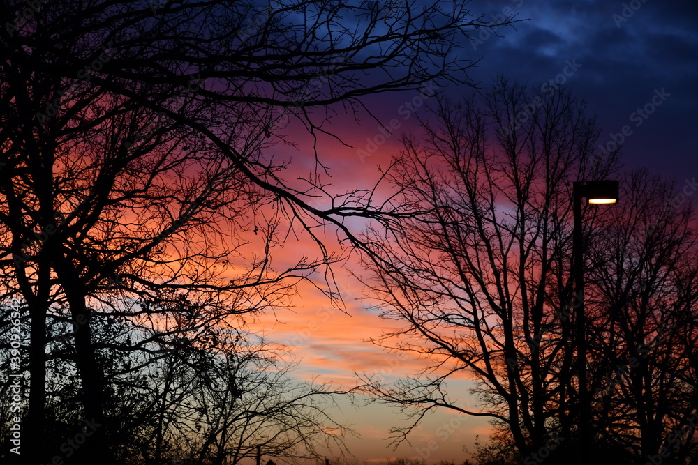 Colors of nature during sunrise Colors of nature during sunrise