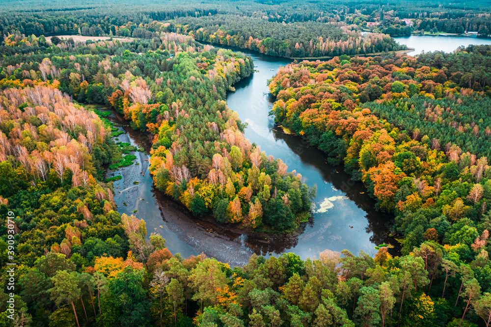 Stunning view of colorful forest and turning river in autumn