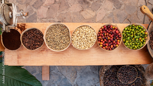 Different maduration stages of coffee cherries, and different steps in process of beans