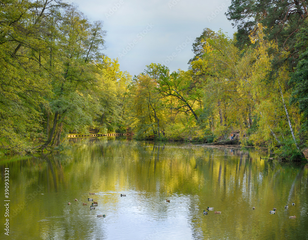 Lake surrounded by autumn forest. Kyiv. Ukraine. Pushcha-Voditsa recreational zone.