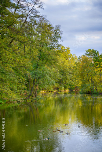 Lake surrounded by autumn forest. Kyiv. Ukraine. Pushcha-Voditsa recreational zone.