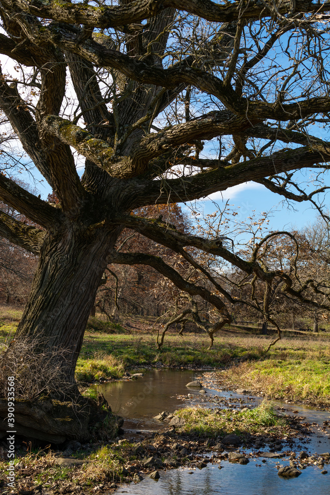 Meandering creek through the late fall/autumn scenery. Rural Illinois, USA. Meandering creek through the late fall/autumn scenery. Rural Illinois, USA.