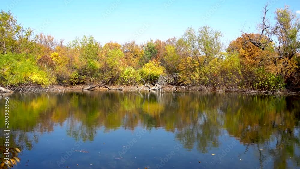 lake in the forest lake in the forest