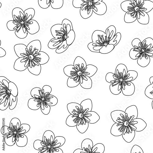 Fototapeta Naklejka Na Ścianę i Meble -  Handmade isolated vector cherry flowers, black and white outline, sketch, background seamless pattern