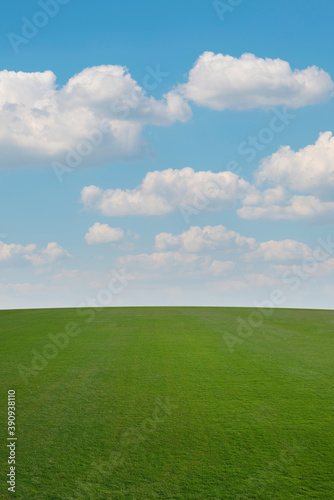 green grass and blue sky, bird eye view
