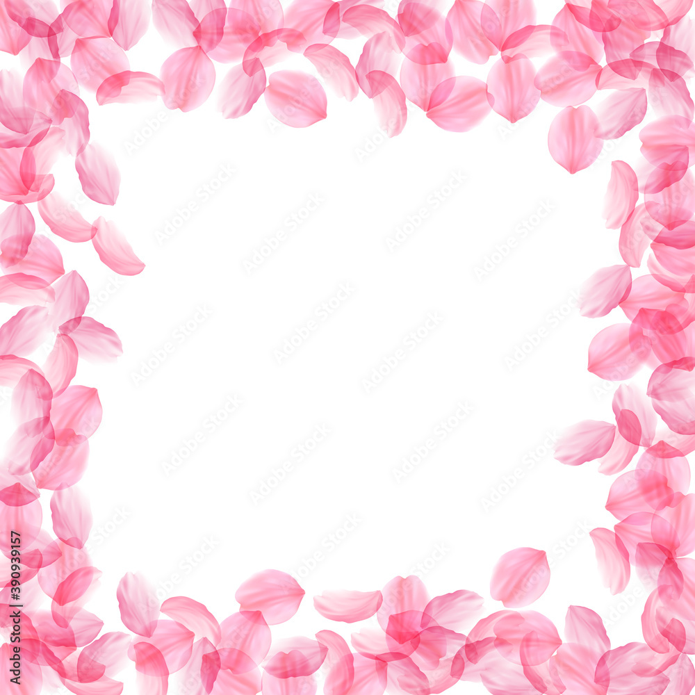 Sakura petals falling down. Romantic pink silky bi