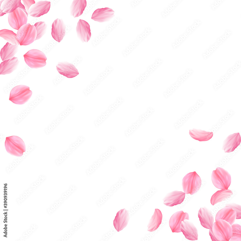 Sakura petals falling down. Romantic pink bright b Sakura petals falling down. Romantic pink bright b
