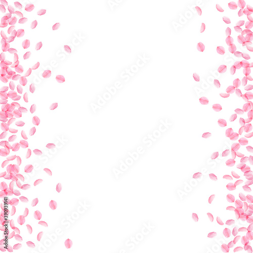 Fototapeta Naklejka Na Ścianę i Meble -  Sakura petals falling down. Romantic pink silky sm