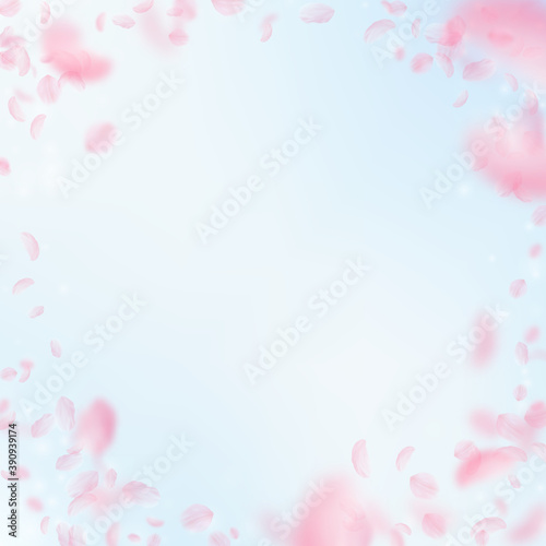 Sakura petals falling down. Romantic pink flowers  © Begin Again