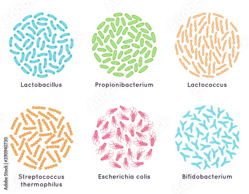 Probiotic bacteria. Good microorganisms for healthy bacterial flora, microscopic probiotics. Lactic acid bacteria vector illustration set. Lactobacillus, propionibacterium, lactococcus for health