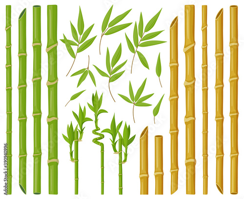 Cartoon bamboo plants. Asian bamboo stems, stalks and leaves, fresh green stick plants with foliage, natural bamboo plant vector illustration set. Brown decorative detailed elements © WinWin