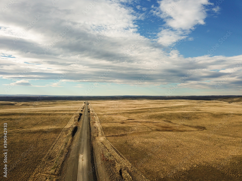 Fototapeta premium road in the desert pampa argentina