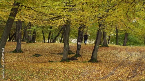 A Lone Girl Wandering Around Hoia Forest During Autumn In Cluj-Napoca, Romania. - wide shot photo