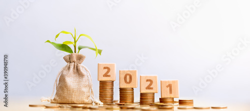 Wood block 2021 and Coins in sack with small plant tree. Pension fund, 401K, Passive income. Investment and retirement. Business investment growth concept. Risk management. Budget 2021.