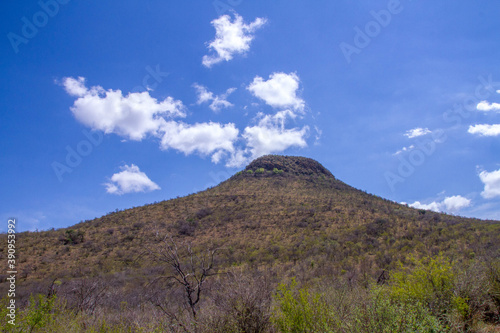 Landscape setting in the Limpopo province in the northern part of South Africa