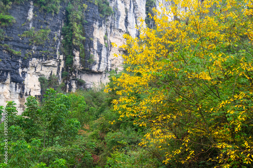 Autumn scenery of Jianshiye Three Gorges Scenic Area in Enshi  Hubei  China
