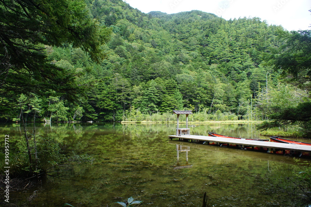 小さな池の鳥居 小さな池の鳥居