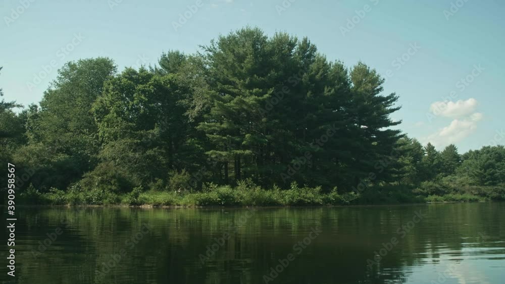View of shore from peaceful lake in summer, Pan Left View of shore from peaceful lake in summer, Pan Left
